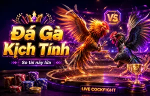 Giao diện Đá Gà everydaybyknat